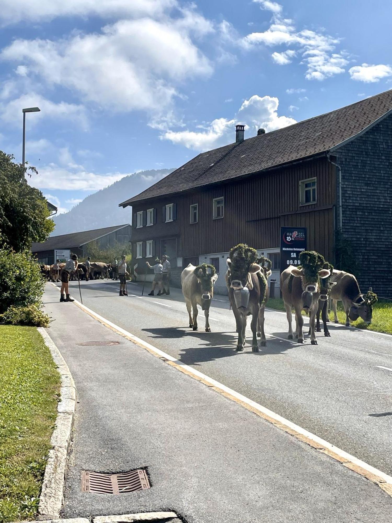 Zu Gast Bei Den Hagspiels Apartment Hittisau Bagian luar foto